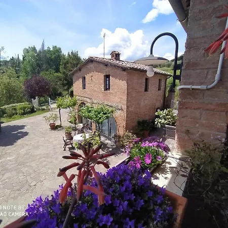 Vignano40