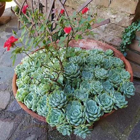 Vignano40 Сasa de vacaciones Siena