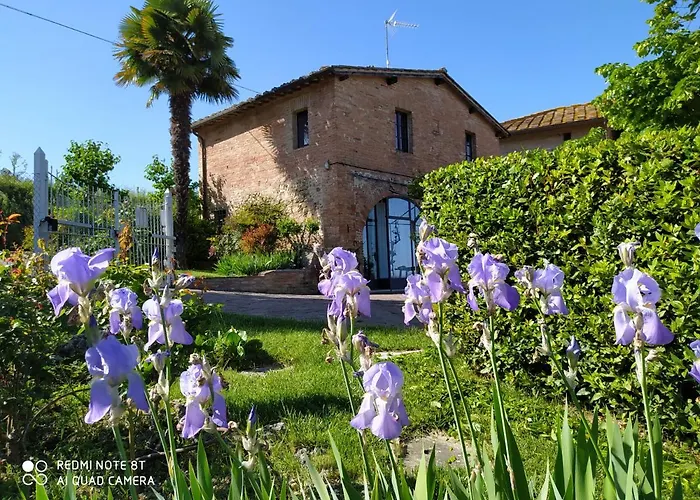 Vignano40 シエーナ