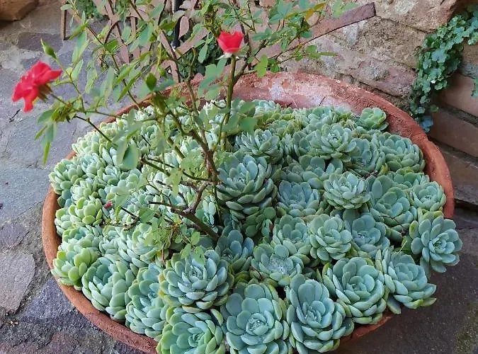 Vignano40 別荘 シエーナ