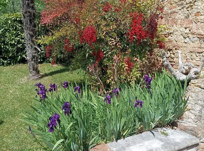 Vignano40 * シエーナ