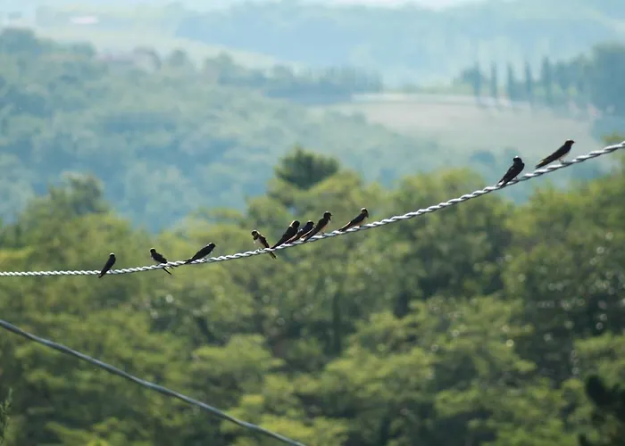 Vignano40 別荘 シエーナ