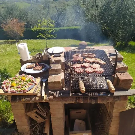Vignano40 Sienne