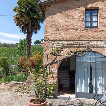 Vignano40 * Sienne