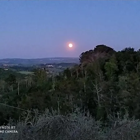 Holiday home Vignano40