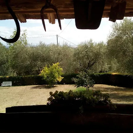 Vignano40 *
